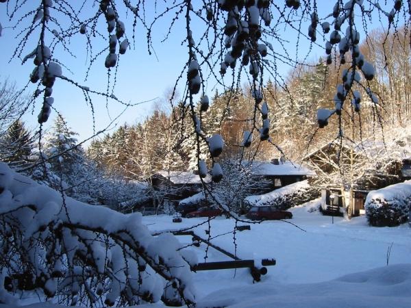 σπίτι διακοπών Schönecken Προς Ενοικίαση Γερμανία