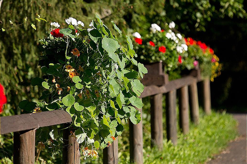 σπίτι διακοπών Schönecken Προς Ενοικίαση Γερμανία