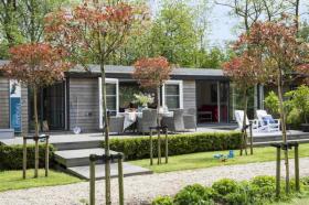 Holiday home for rent in Loosdrecht, Netherlands