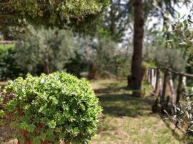 casa per le vacanze Poggibonsi In affitto Italia