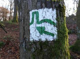 Tatil evi Waldbrunn Kiralık Almanya