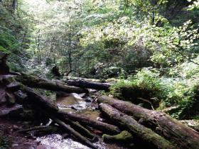 Holiday home Waldbrunn for rent Germany