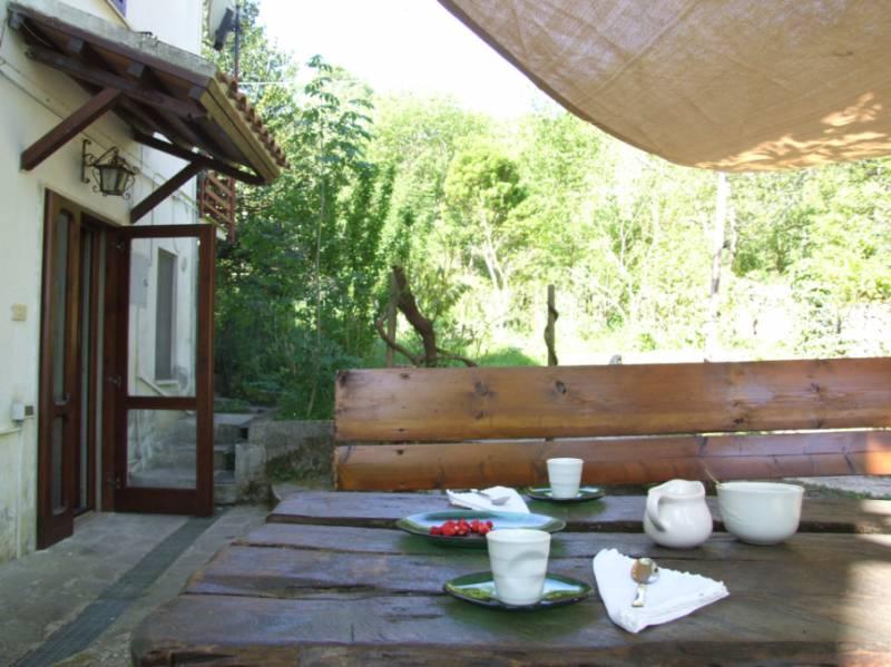 Holiday home Sassetta for rent Italy