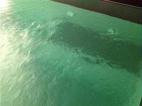 Nyaraló Siófok Kiadó Magyarország