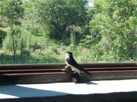 Holiday home Blücherhof for rent Germany