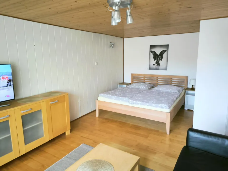 Tatil evi Křemže Kiralık Çek Cumhuriyeti