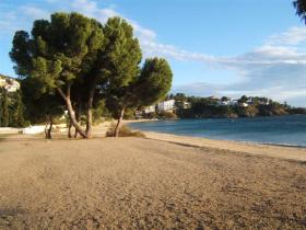 度假屋 玫瑰  西班牙