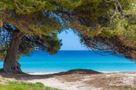 Holiday home Almodóvar del Campo for rent Spain
