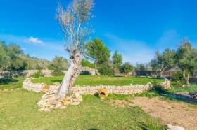 Дом отдыха Л'Ацубия Аренда Испания