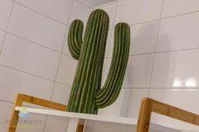 σπίτι διακοπών Γυρίζω Προς Ενοικίαση Ολλανδία