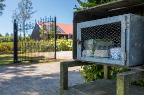 Tatil evi Vee Kiralık Hollanda