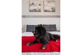 Дом отдыха Адехе Аренда Испания