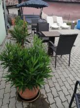 Tatil evi Tápiószentmárton Kiralık Macaristan