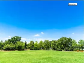 Grundstück_Wiese_1_Musterfoto - 房屋 取消抵押品赎回权 于 费利克斯湖-施普雷-内瑟县, 德国