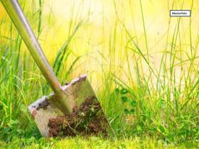 Grundstück_Wiese_Musterfoto - Parcelas Ejecuciones hipotecarias en Berg-Germersheim, Alemania Grundstück_Wiese_Musterfoto - Parcelas Ejecuciones hipotecarias en Berg-Germersheim, Alemania