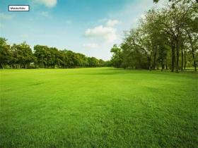 Grundstück_Wiese_2_Musterfoto - Plots / Land  Foreclosures in Bad Sulza, Germany