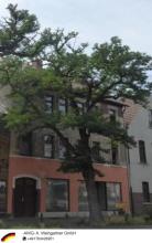 Image - ショップ 賃貸 で ルターシュタット ヴィッテンベルク-ピエステリッツ, ドイツ