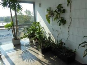 Irodahelyiségek Berlin Kiadó Németország | Image