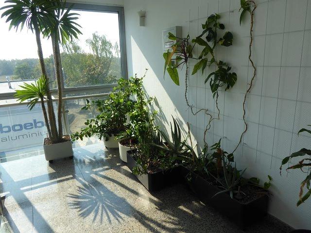 Bürofläche Berlin zu mieten Deutschland | Image