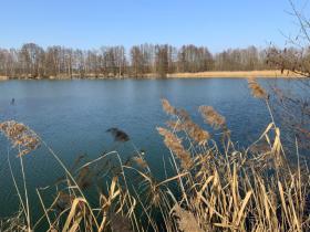Image - Holiday home for sale in Heideblick-Pitschen-Pickel, Germany