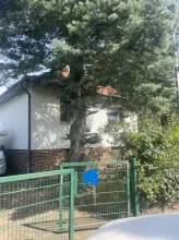 casa isolada Berlim Venda Alemanha | Image