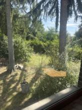 Detached house Berlin for sale Germany | Image