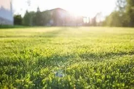 byggegrunn til salgs i Schönefeld-Kreis Dahme-Spreewald, Tyskland