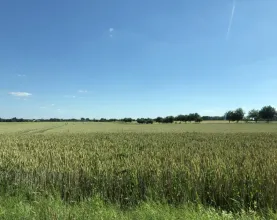Image - terreno de construção à venda em Borna-Leipzig, Alemanha