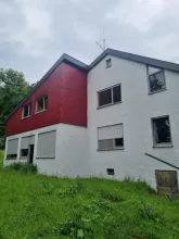 Meergezins Leonberg Te Koop Germany | Image