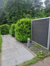 Meergezins Leonberg Te Koop Germany | Image