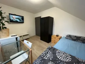 Meergezins Leonberg Te Koop Germany | Image