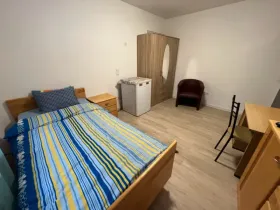Meergezins Leonberg Te Koop Germany | Image