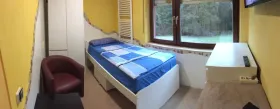 Meergezins Leonberg Te Koop Germany | Image