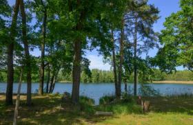 Bangalô Dresden Venda Alemanha | Image