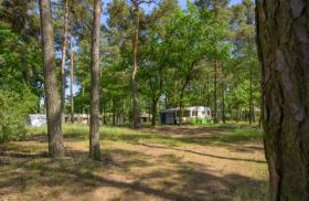 Bangalô Dresden Venda Alemanha | Image