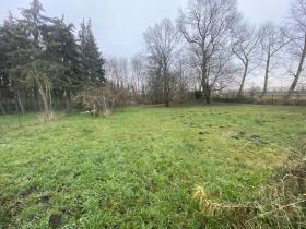 Дом на одну семью Цвенкау Продажа Германия | Image