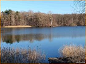 casa unifamiliare Trebbin-Lüdersdorf Vendita Germania | Image