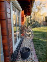 casa unifamiliare Trebbin-Lüdersdorf Vendita Germania | Image