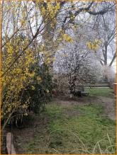 casa unifamiliare Trebbin-Lüdersdorf Vendita Germania | Image