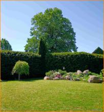 casa unifamiliare Trebbin-Lüdersdorf Vendita Germania | Image