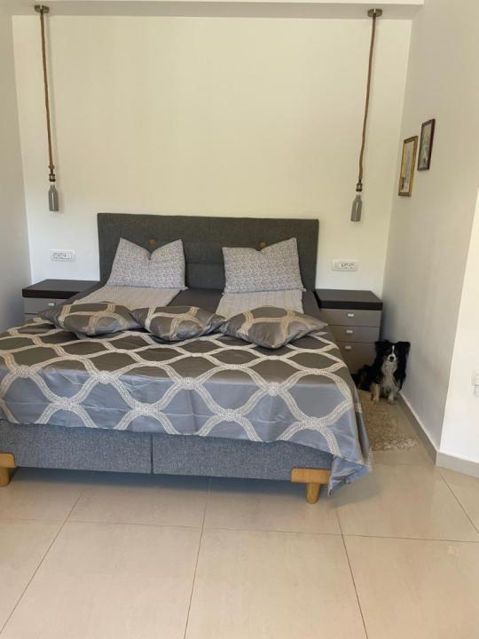 Płaski Opatija  Chorwacja | Image