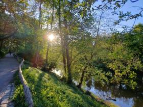 フラット ベルリン  ドイツ | Image