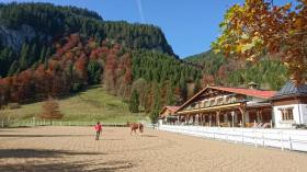 إسطبلات ركوب الخيل Obermaiselstein  ألمانيا | Image