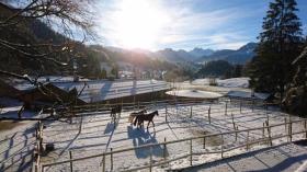 إسطبلات ركوب الخيل Obermaiselstein  ألمانيا | Image