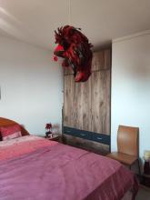 مسطحة Opatija  كرواتيا | Image