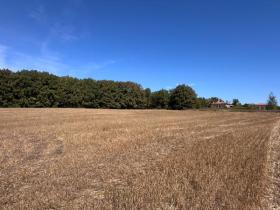 Terrain industriel en vente à Iuneț, Bulgarie