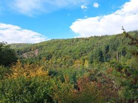 Enebolig Mettlach  Tyskland | Image