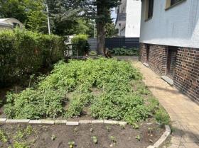 Enebolig Berlin  Tyskland | Image