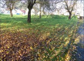 建筑用地 待售 于 默拉特-豪森, 德国