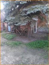 Apartamento sótão Beelitz Aluguéis Alemanha | Image